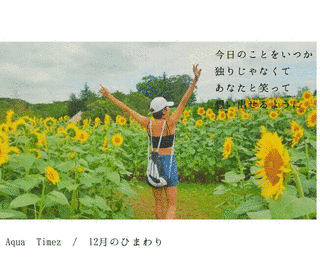 12月のひまわりの画像
