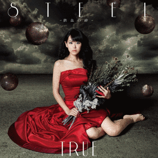 STEEL-鉄血の絆-の画像