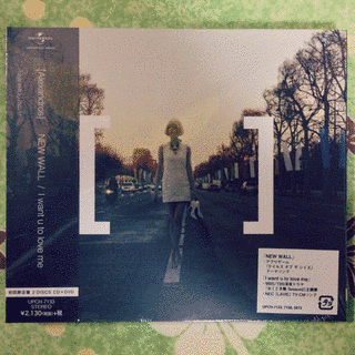 NEW WALL/I WANT U TO LOVE MEの画像