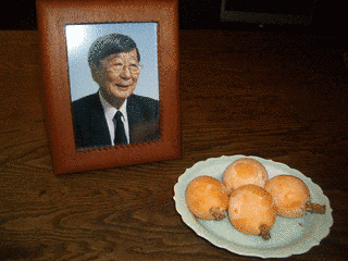 岡並木の画像