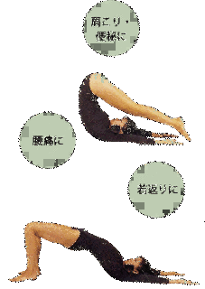 広池秋子の画像