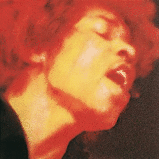 ELECTRIC LADY LANDの画像
