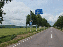 国道243号の画像