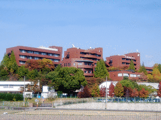 大阪国際大学の画像