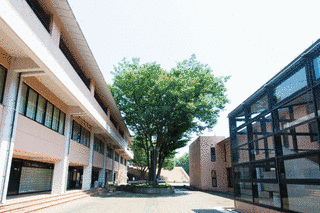 共栄大学の画像