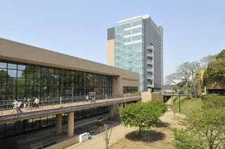 淑徳大学の画像