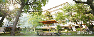 純真学園大学の画像