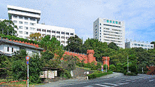 崇城大学の画像