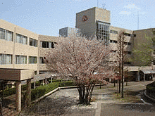 東京家政学院大学の画像