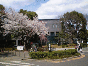 福島学院大学の画像