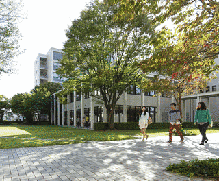 愛知学泉短期大学の画像