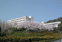 大阪青山短期大学の画像