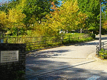 千葉明徳短期大学の画像