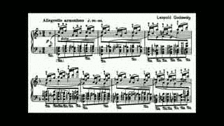 ゴドフスキーの楽曲の画像