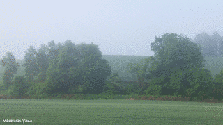 霧が晴れていくの画像