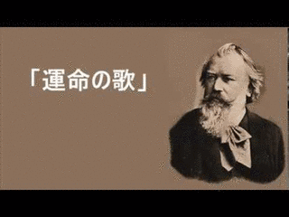 運命の歌の画像
