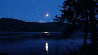 夏の夜の画像