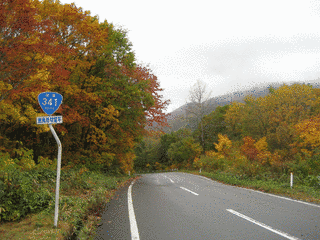 国道341号の画像