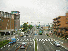 国道286号の画像