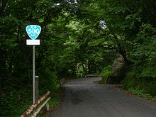 国道500号の画像