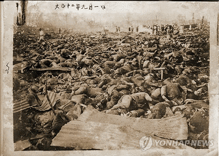 朝鮮の虐殺の画像