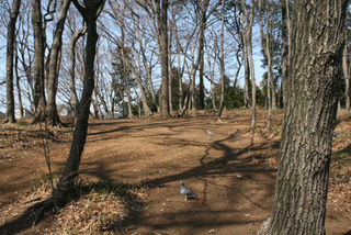 関山砦の画像