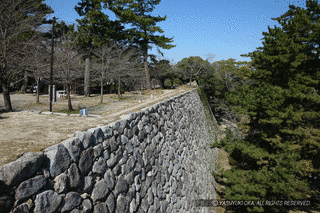 松坂城の画像