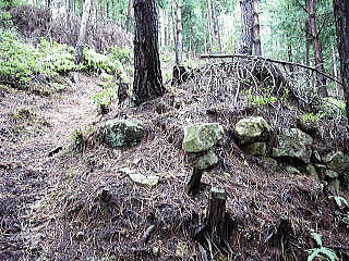 神尾山城の画像