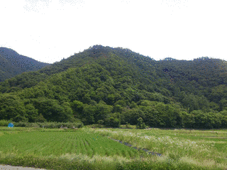 小城城の画像