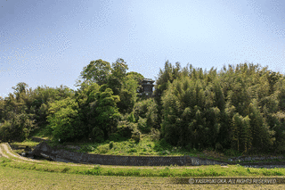 淡河城の画像