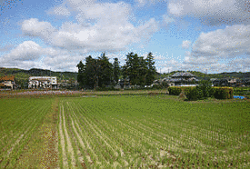 下田中城の画像