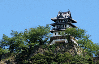 洲本城の画像