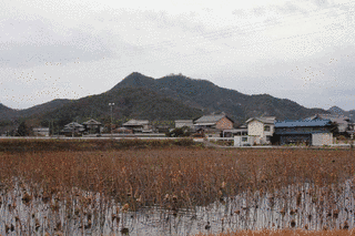 善防山城の画像