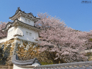 龍野城の画像