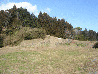 千本城の画像