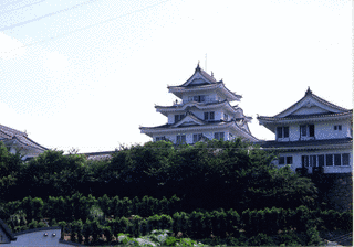 湯浅城の画像