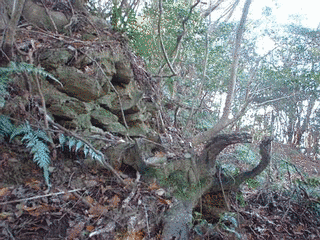 和佐山城の画像