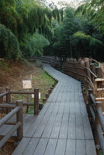 赤山城の画像