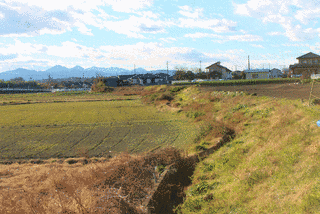 五十子陣の画像