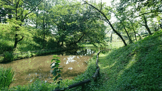 雉岡城の画像