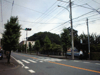 北秋津城の画像
