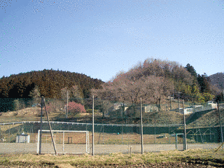 根古屋城の画像