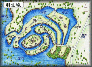 羽生城の画像