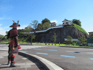 臼杵城の画像