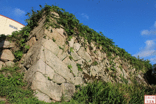 地黄城の画像