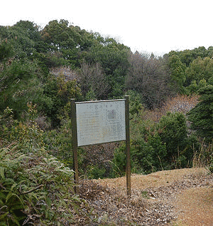 千石堀城の画像