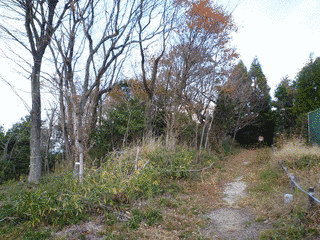 嶽山城の画像