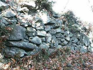 野間城の画像