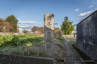 筒井城の画像