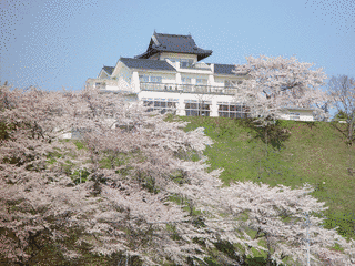 大衡城の画像